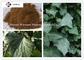 Hedera helix 20%-30% Hederagenin  Ivy Leaf Extract Brown Powder Korea Registration license